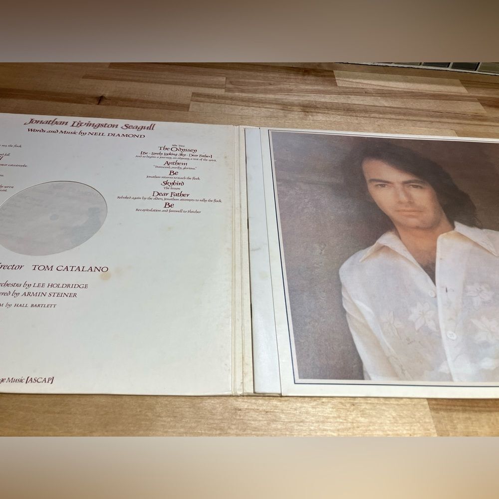 Neil Diamond vinyl record, Jonathon Livingston Seagull album, excellent shape - Picture 2 of 5